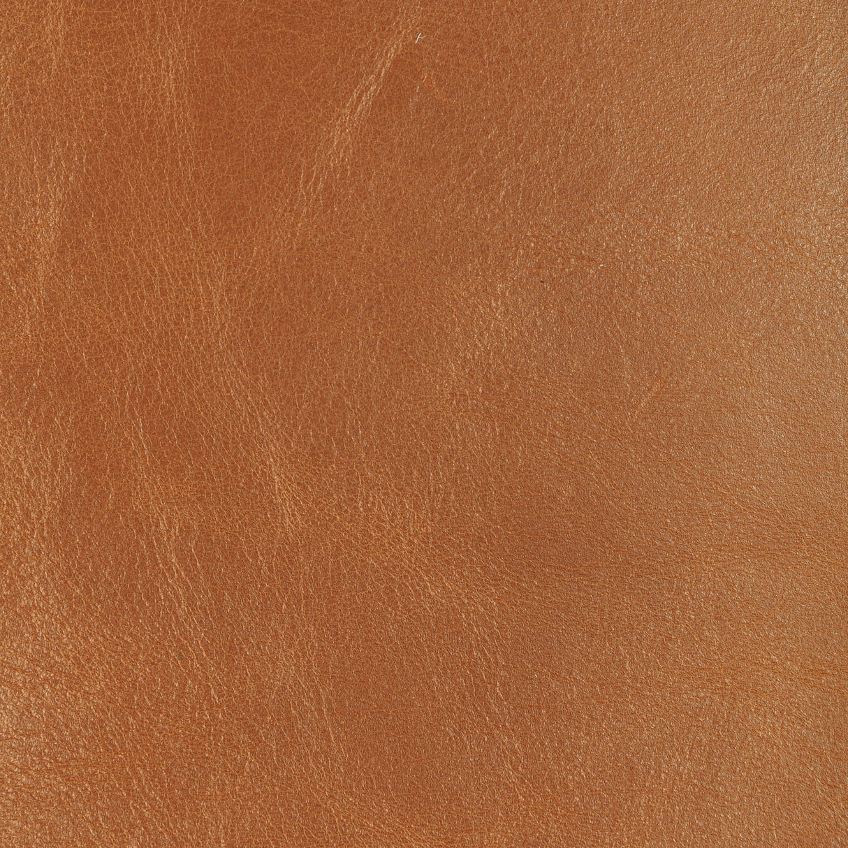 Kravet DESIGN L DROVERS-SADDLE Upholstery Fabric