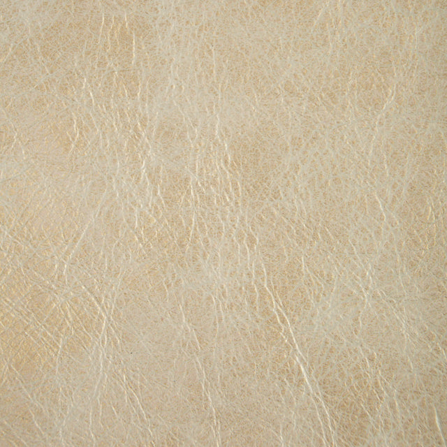 Kravet L-GILDED PLATINUM Upholstery Fabric