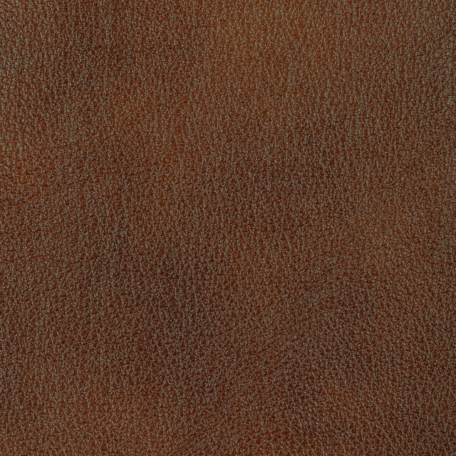 Kravet DESIGN L HOLT-SYRUP Upholstery Fabric