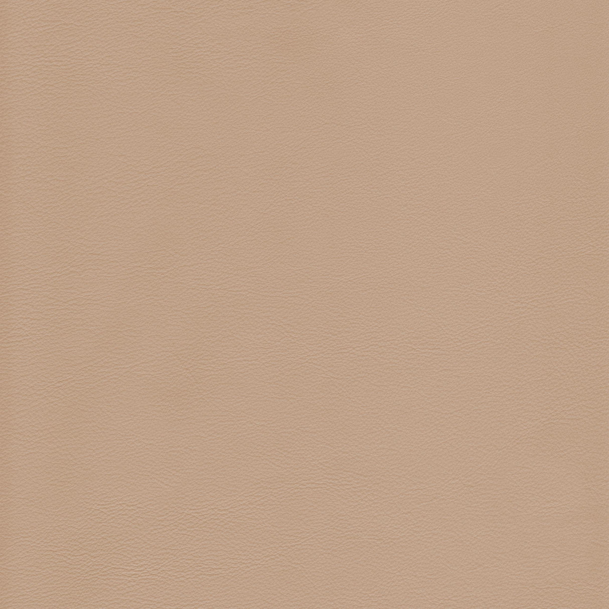 Kravet DESIGN L HOWDY-BIRCH Upholstery Fabric