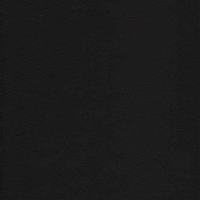 Kravet DESIGN L HOWDY-CAPPUCCINO Upholstery Fabric