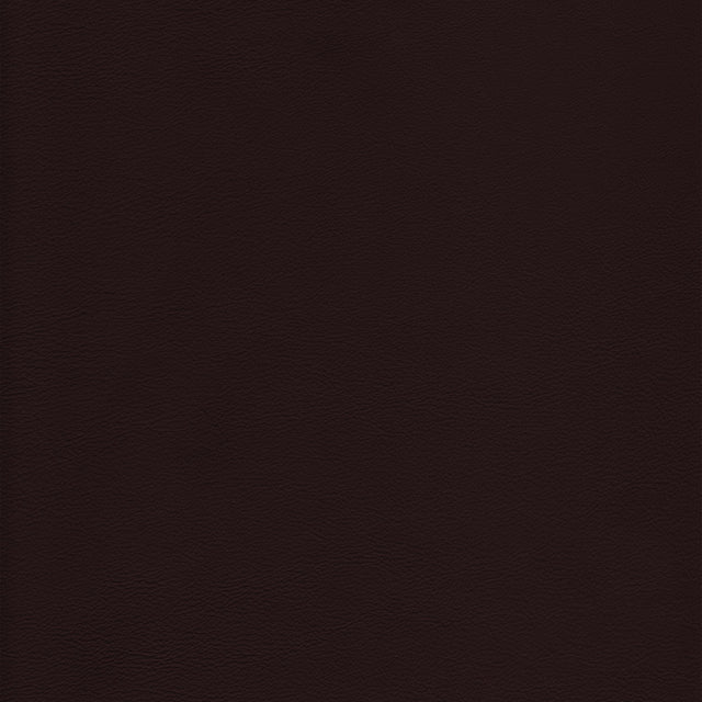 Kravet DESIGN L HOWDY-CHOCOLATE Upholstery Fabric