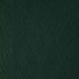 Kravet DESIGN L HOWDY-EMERALD Upholstery Fabric