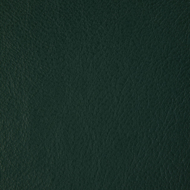 Kravet DESIGN L HOWDY-EMERALD Upholstery Fabric