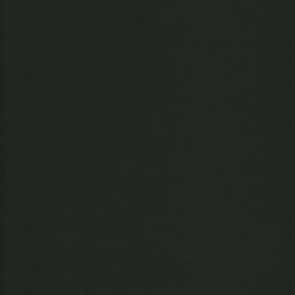 Kravet DESIGN L HOWDY-EVERGREEN Upholstery Fabric