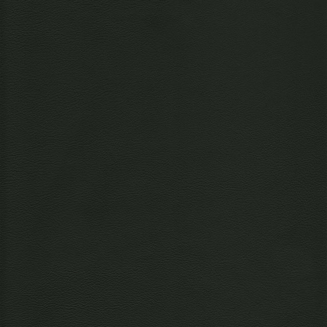 Kravet DESIGN L HOWDY-EVERGREEN Upholstery Fabric