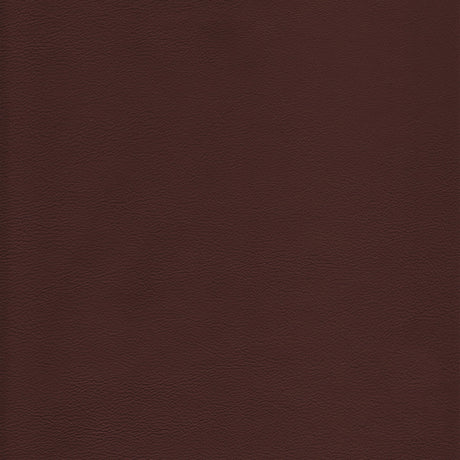 Kravet DESIGN L HOWDY-LATTE Upholstery Fabric