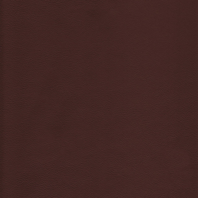 Kravet DESIGN L HOWDY-LATTE Upholstery Fabric