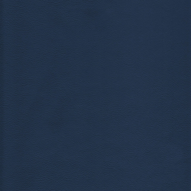 Kravet DESIGN L HOWDY-MARINE Upholstery Fabric