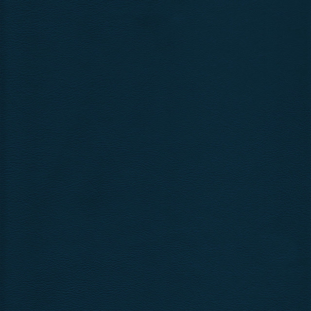 Kravet DESIGN L HOWDY-OCEAN Upholstery Fabric