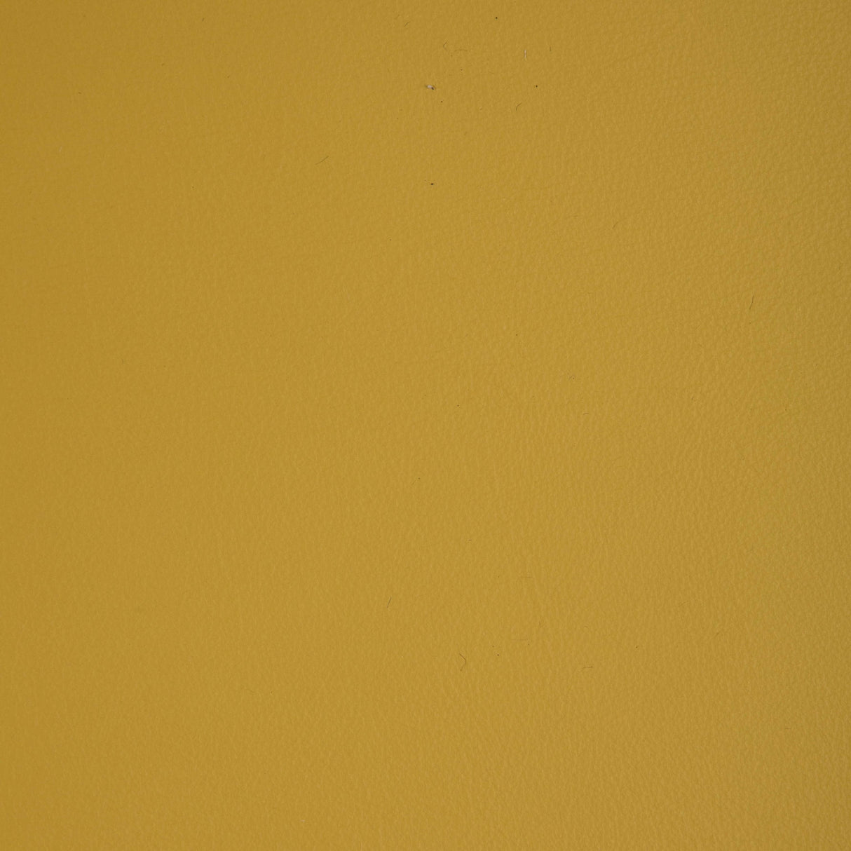 Kravet DESIGN L HOWDY-SUNSHINE Upholstery Fabric