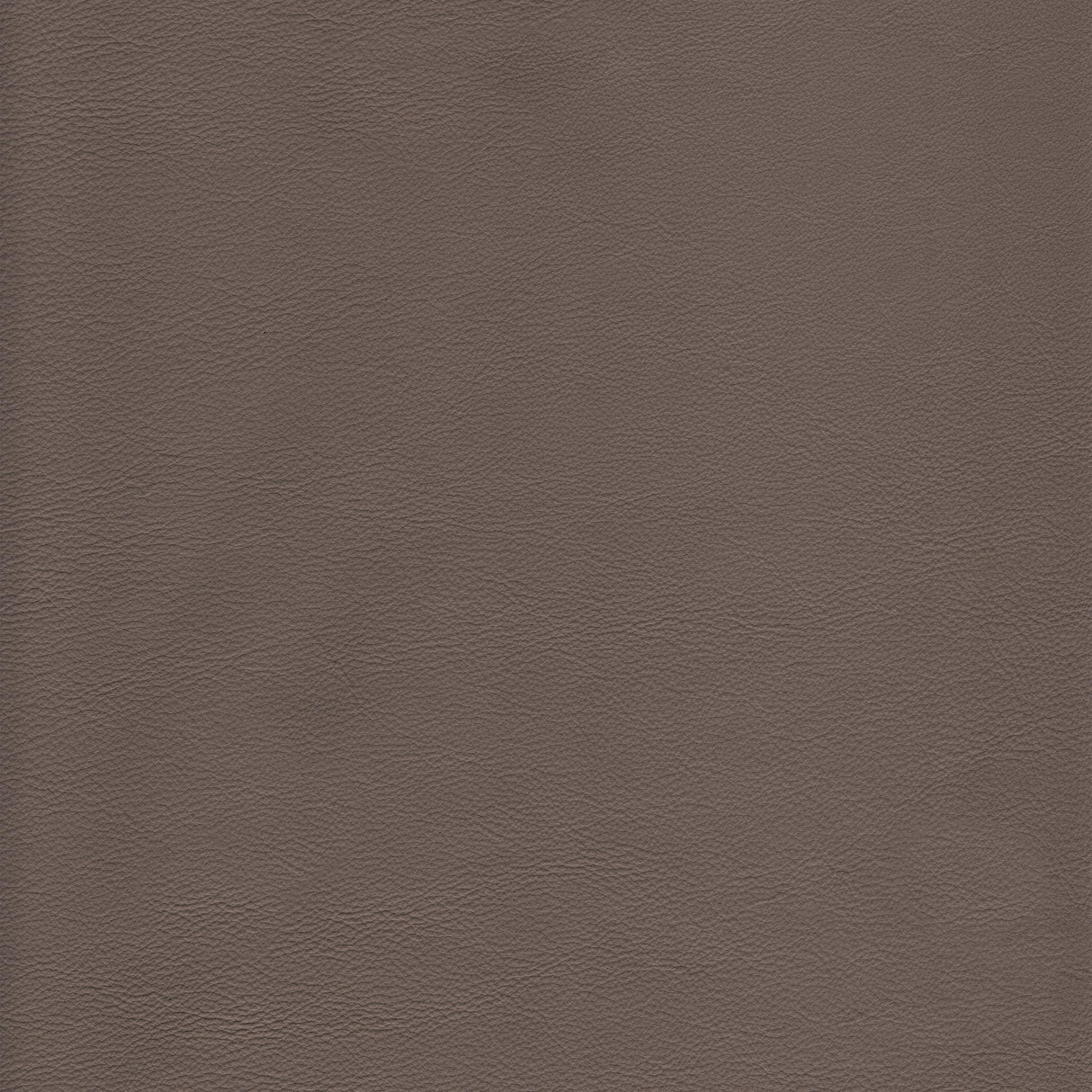 Kravet DESIGN L HOWDY-TAUPE Upholstery Fabric