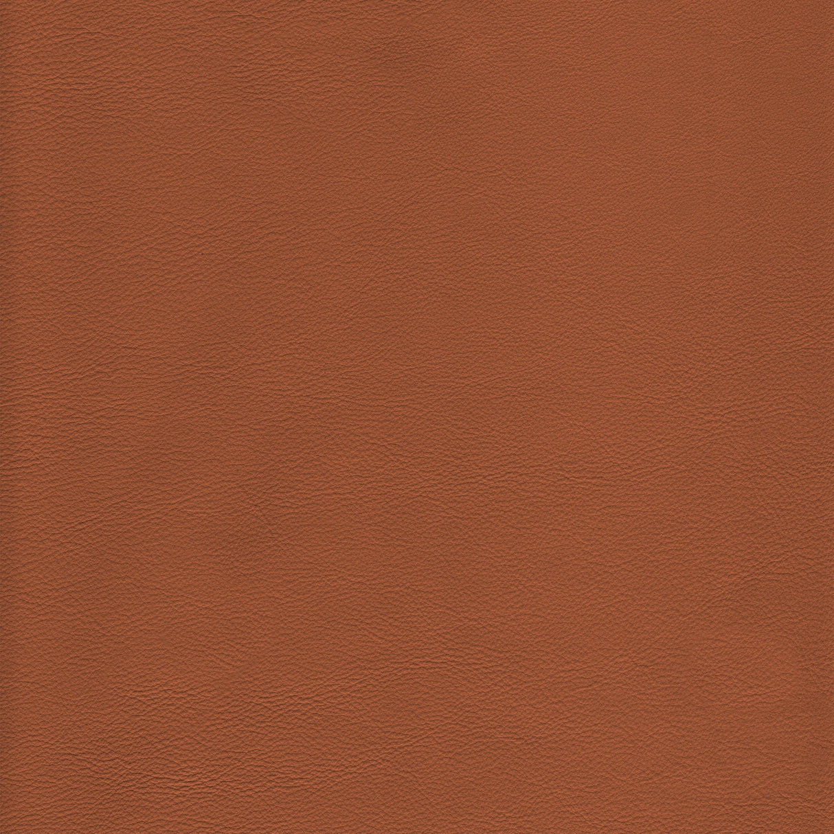 Kravet DESIGN L HOWDY-TOFFEE Upholstery Fabric