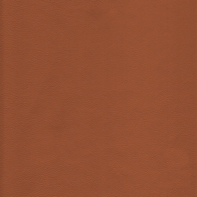 Kravet DESIGN L HOWDY-TOFFEE Upholstery Fabric