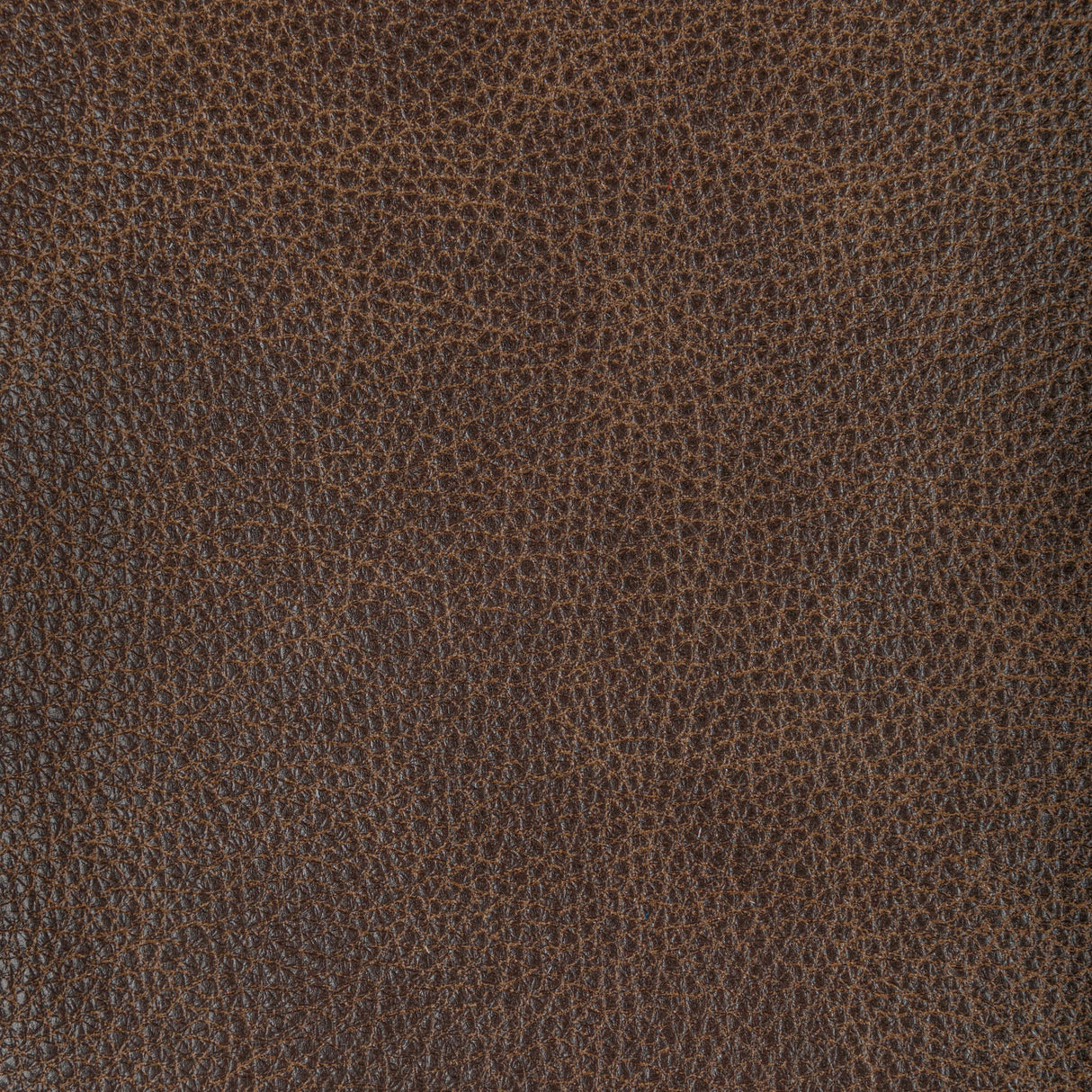 Kravet DESIGN L NAMBE-COCOA Upholstery Fabric
