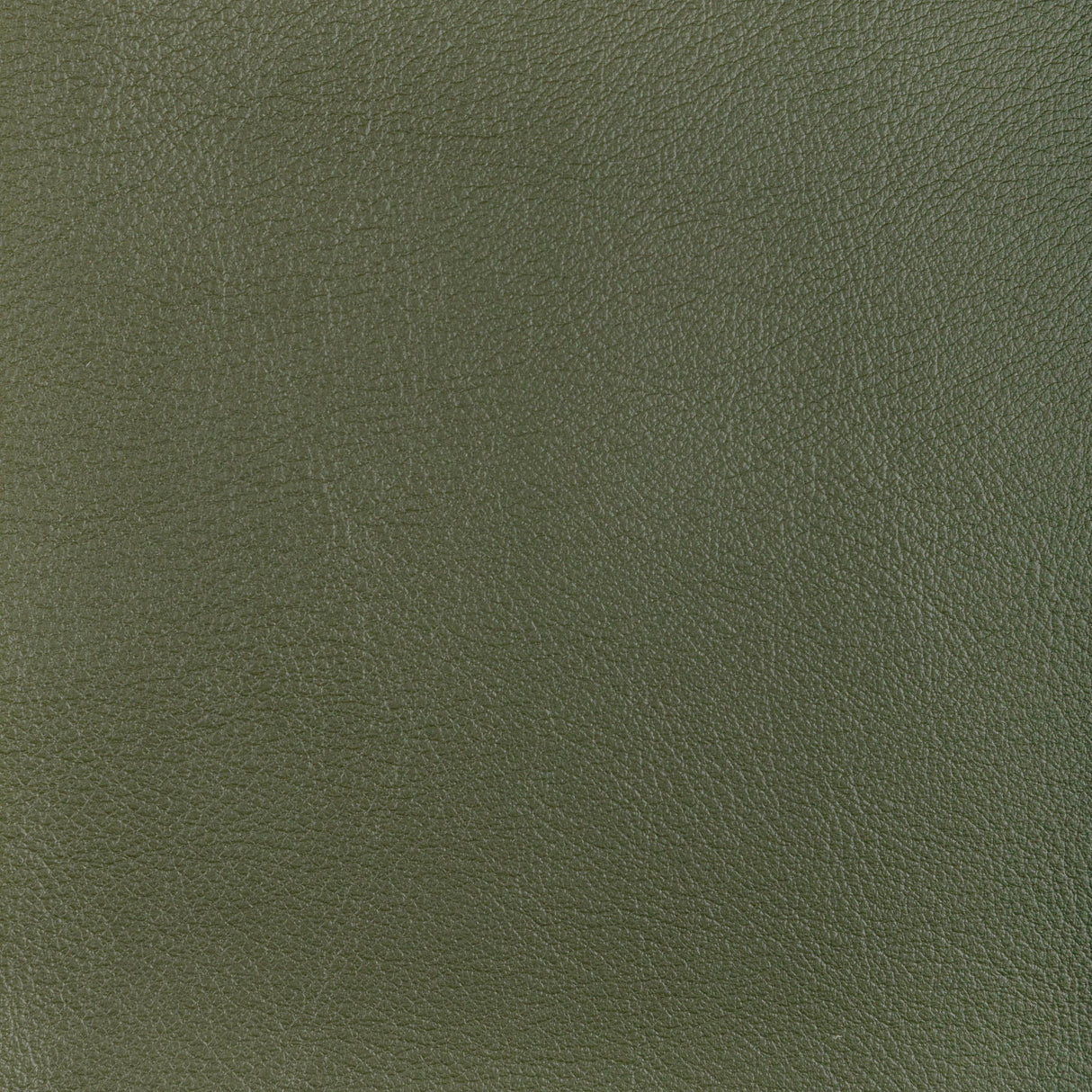 Kravet DESIGN L OCOTILLO-HUNTER Upholstery Fabric