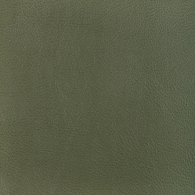 Kravet DESIGN L OCOTILLO-HUNTER Upholstery Fabric