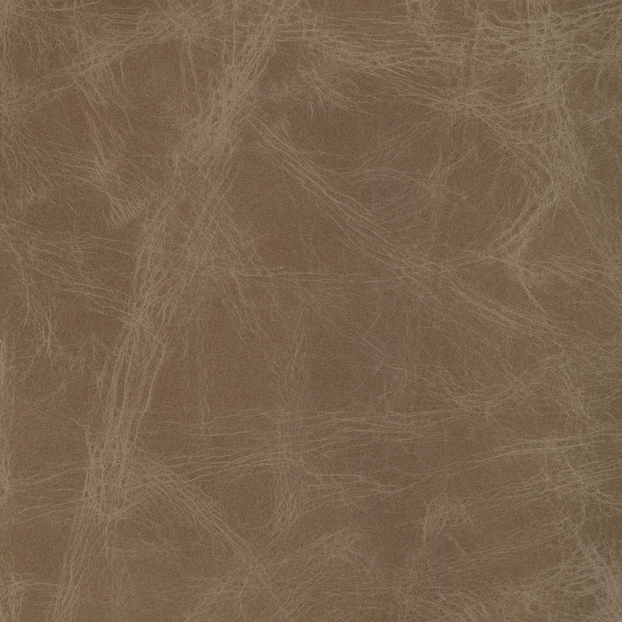 Kravet DESIGN L OVINE-FAWN Upholstery Fabric