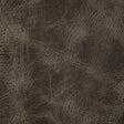 Kravet DESIGN L OVINE-SMOKEY Upholstery Fabric