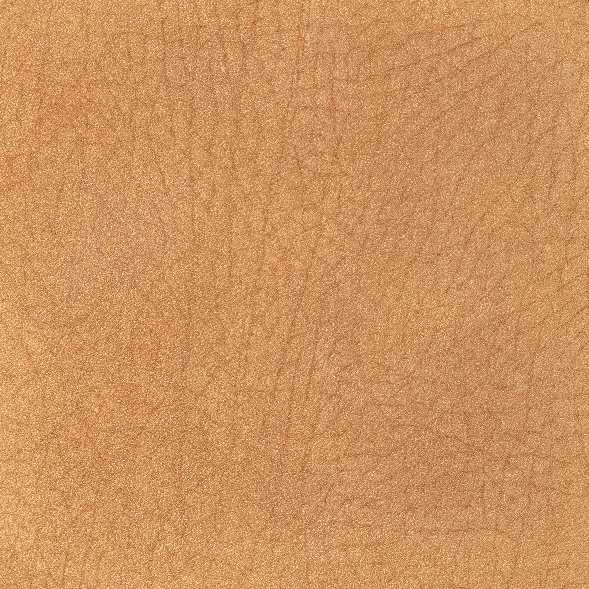 Kravet DESIGN L PAMPAS-DEER Upholstery Fabric