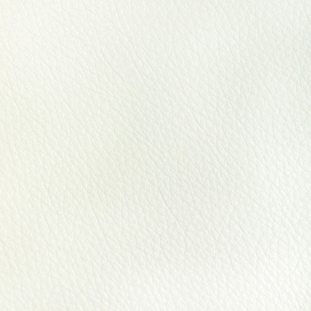 Kravet DESIGN L REATA-SNOW Upholstery Fabric