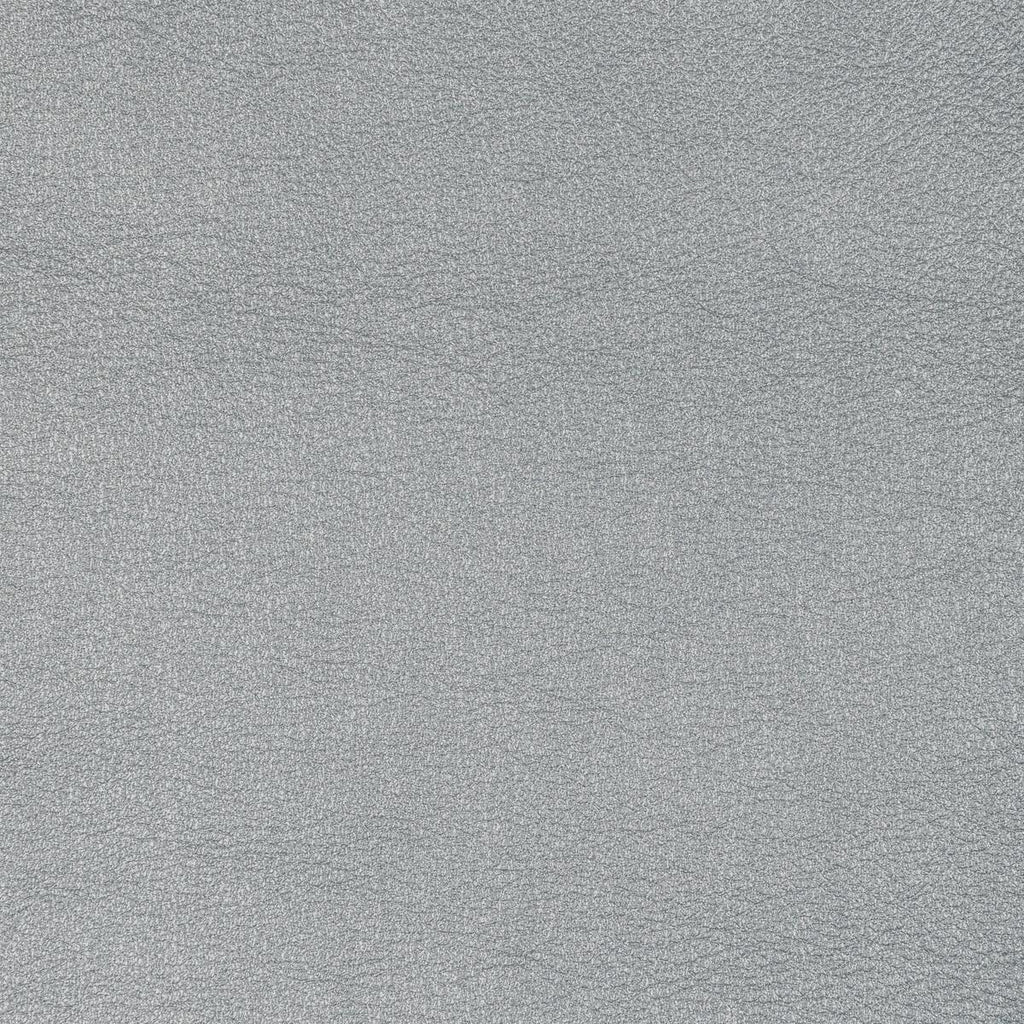 Kravet L-SIERRA L-SIERRA-PLATINUM Fabric