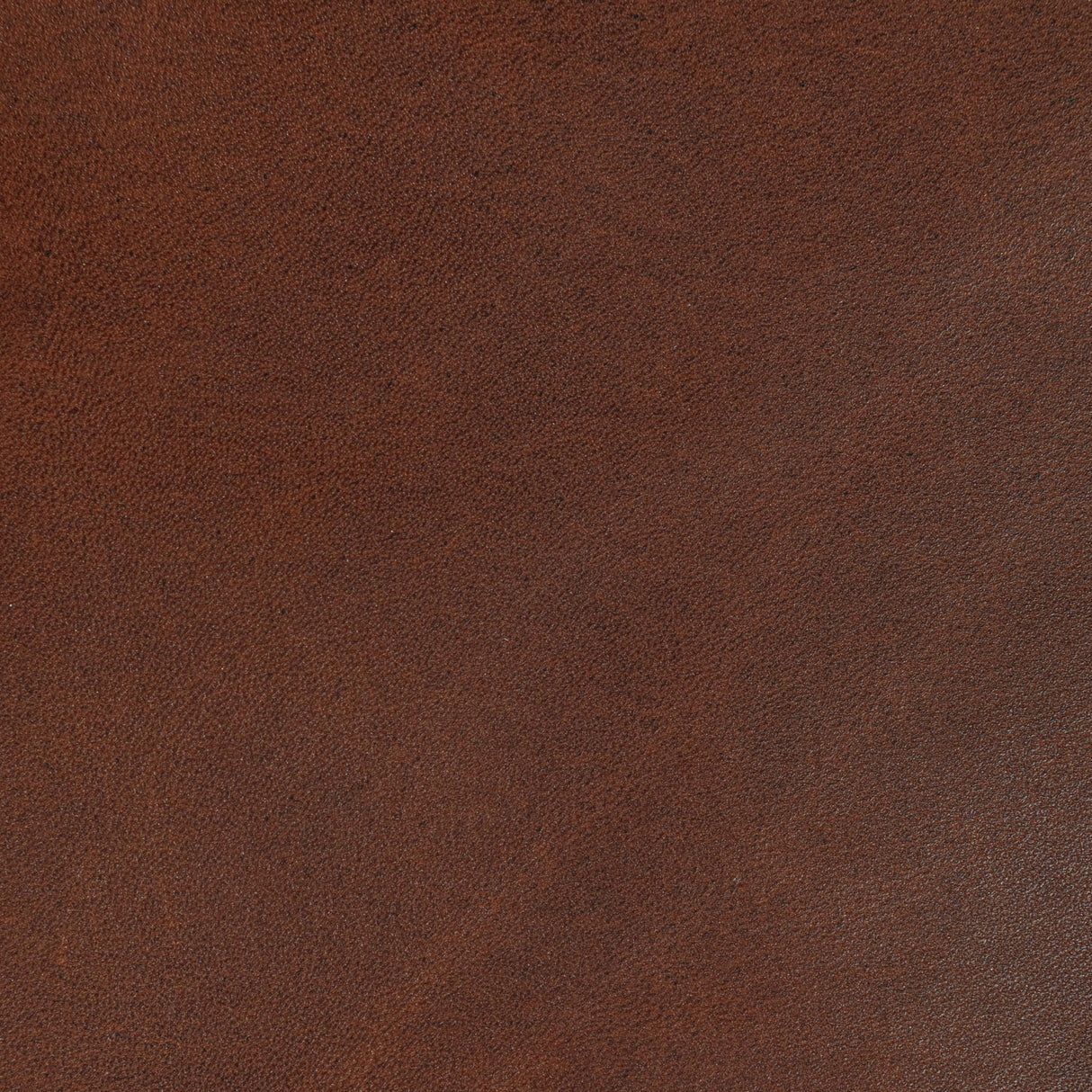 Kravet DESIGN L STORRIE-COCOA Upholstery Fabric
