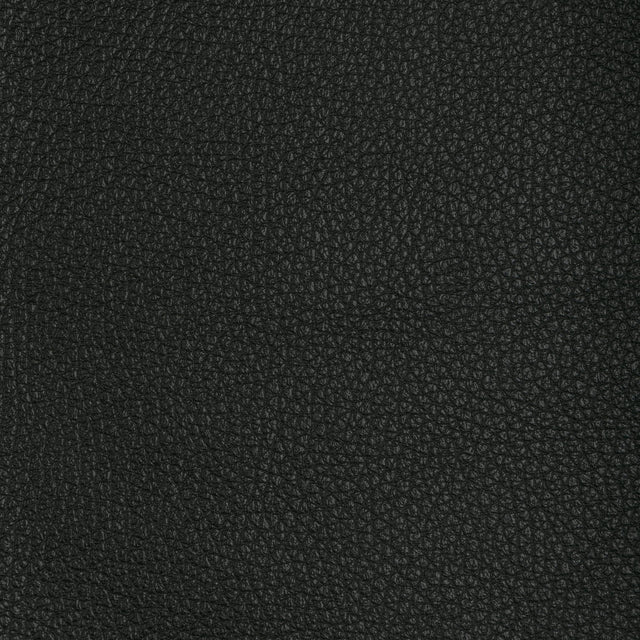 Kravet DESIGN L TUCUM-BLACK Upholstery Fabric