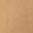 Kravet DESIGN L TULAROSE-CAMEL Upholstery Fabric