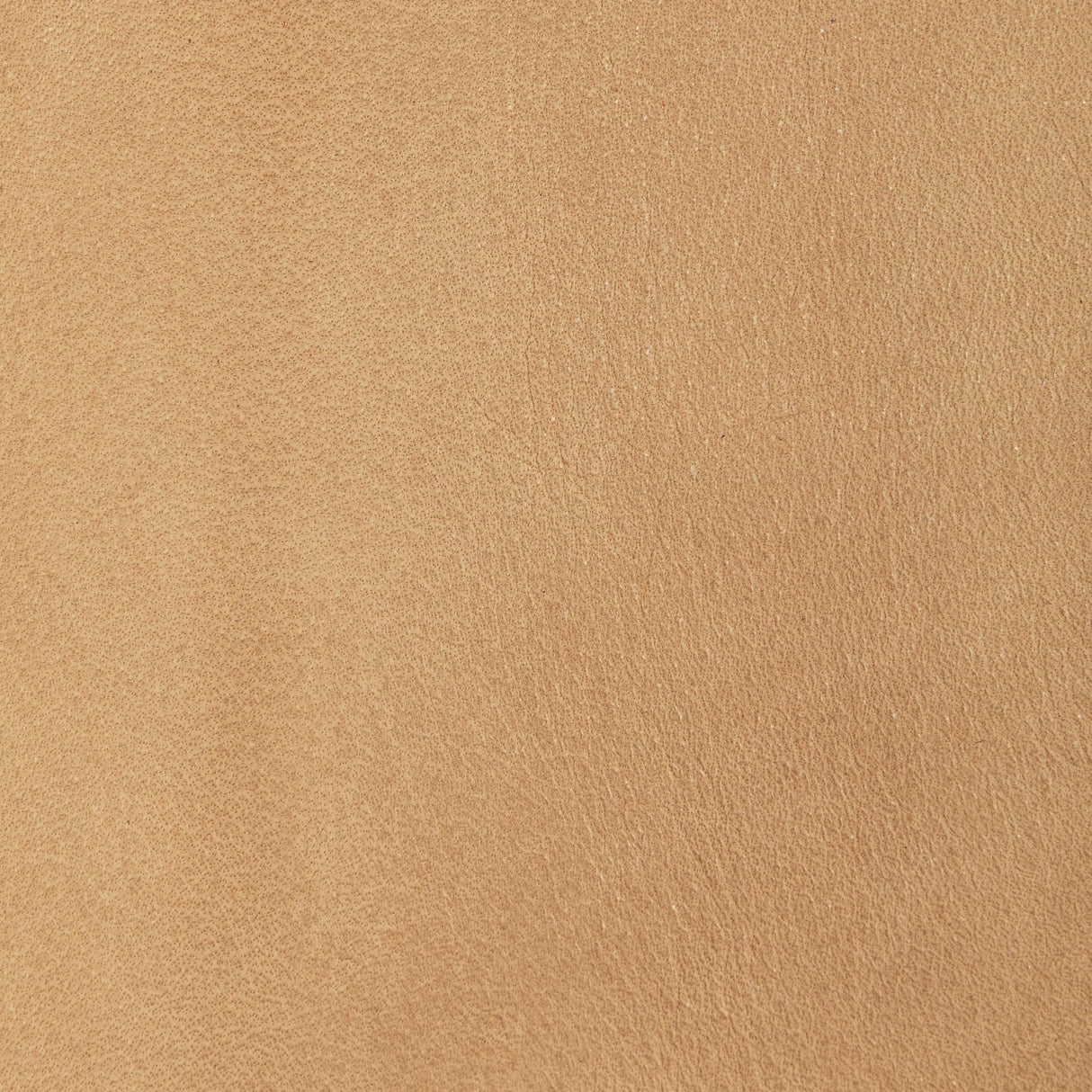 Kravet DESIGN L TULAROSE-CAMEL Upholstery Fabric