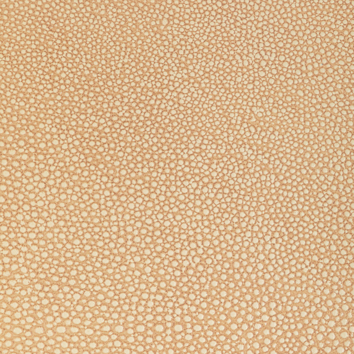 Kravet DESIGN L WHIT-CAMEL Upholstery Fabric
