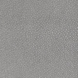 Kravet DESIGN L WHIT-GREY Upholstery Fabric