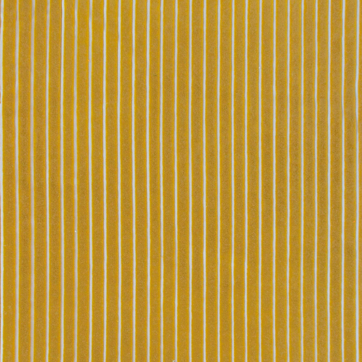 Gaston Y Daniela MAYRIT AMARILLO Upholstery Fabric