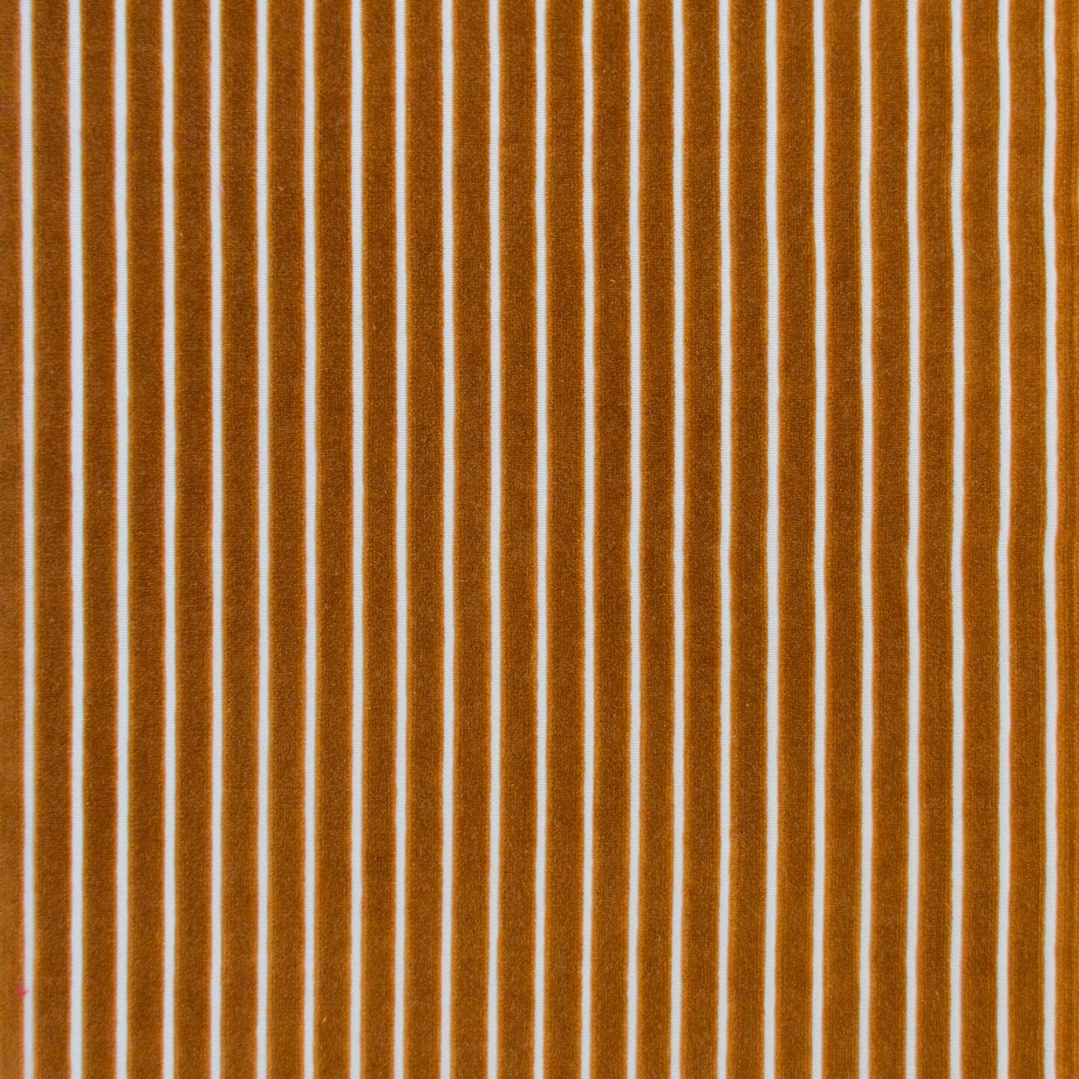 Gaston Y Daniela MAYRIT OCRE Upholstery Fabric