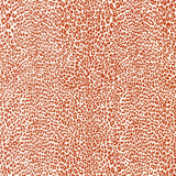 Brunschwig & Fils PETIT LEOPARD ORANGE Wallpaper