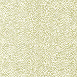 Brunschwig & Fils PETIT LEOPARD BEIGE Wallpaper