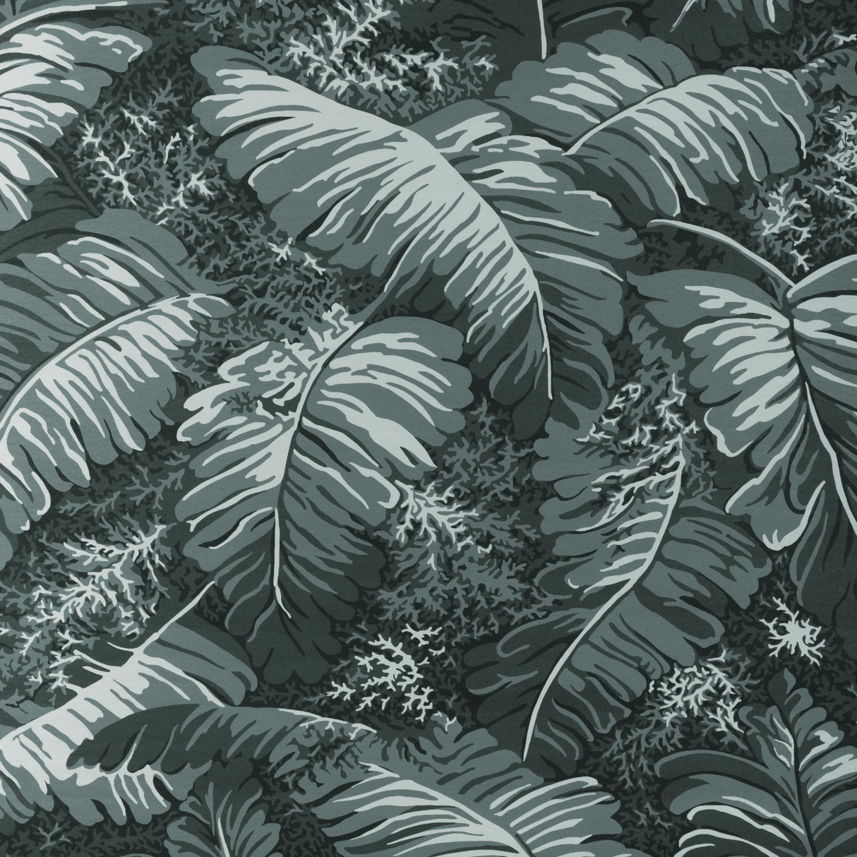 Brunschwig & Fils FEUILLES DE BANANIER GRIS Wallpaper