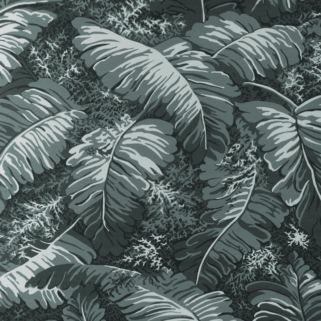 Brunschwig & Fils FEUILLES DE BANANIER GRIS Wallpaper