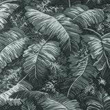 Brunschwig & Fils FEUILLES DE BANANIER GRIS Wallpaper