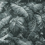 Brunschwig & Fils FEUILLES DE BANANIER GRIS Wallpaper