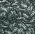 Brunschwig & Fils FEUILLES DE BANANIER GRIS Wallpaper