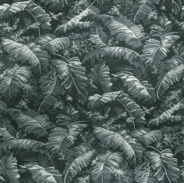Brunschwig & Fils FEUILLES DE BANANIER GRIS Wallpaper