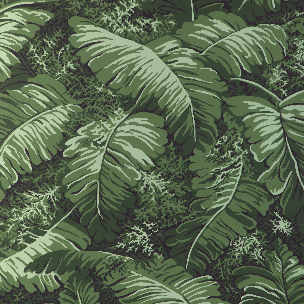 Brunschwig & Fils FEUILLES DE BANANIER LEAF Wallpaper