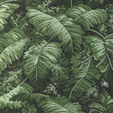Brunschwig & Fils FEUILLES DE BANANIER LEAF Wallpaper