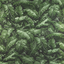 Brunschwig & Fils FEUILLES DE BANANIER LEAF Wallpaper