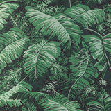 Brunschwig & Fils FEUILLES DE BANANIER IVY Wallpaper