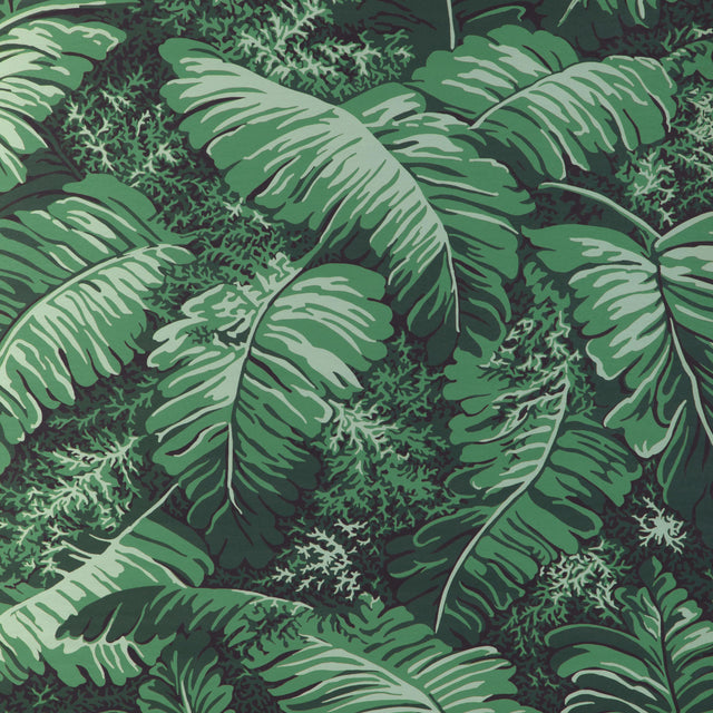 Brunschwig & Fils FEUILLES DE BANANIER IVY Wallpaper
