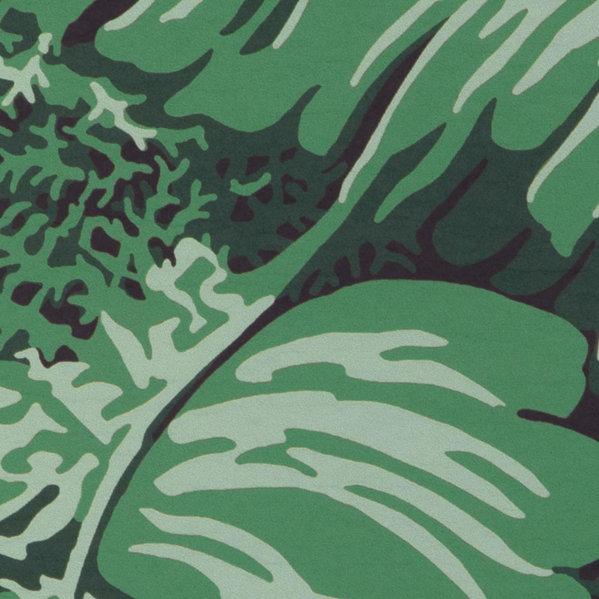 Brunschwig & Fils FEUILLES DE BANANIER IVY Wallpaper