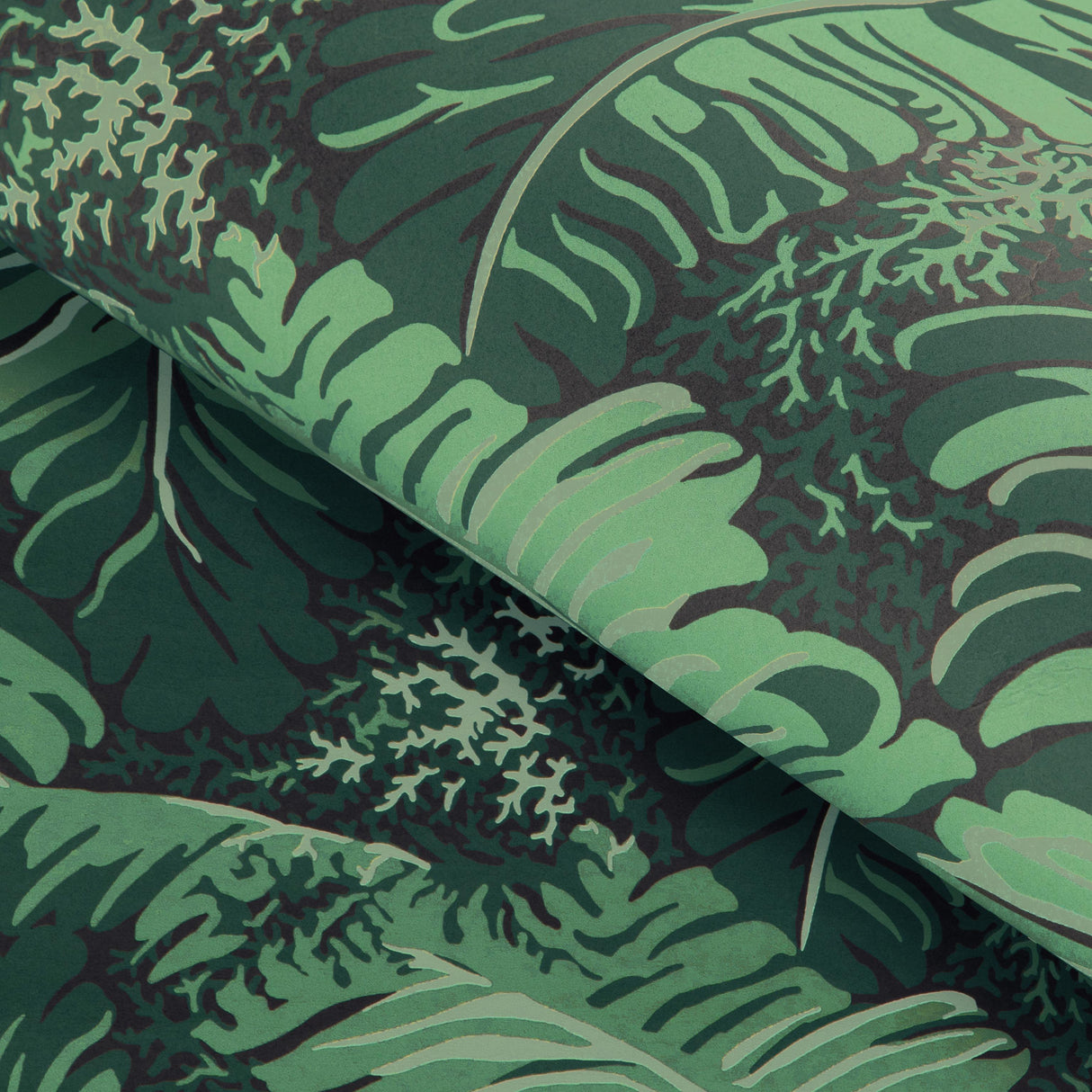 Brunschwig & Fils FEUILLES DE BANANIER IVY Wallpaper