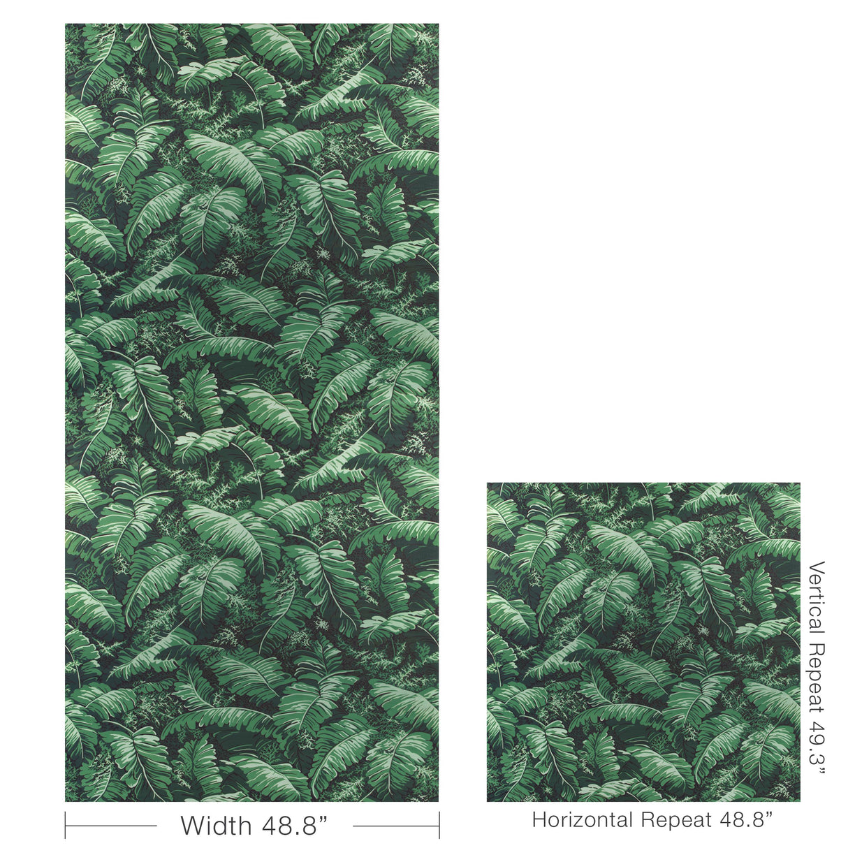 Brunschwig & Fils FEUILLES DE BANANIER IVY Wallpaper